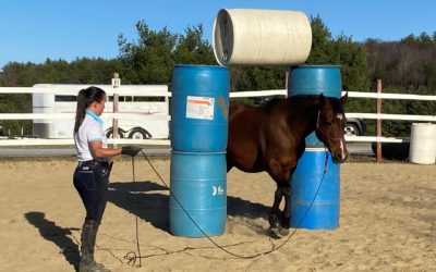 3 Things You Can Do to Prepare Your Horse for Trailer Loading… Without Using a Trailer.