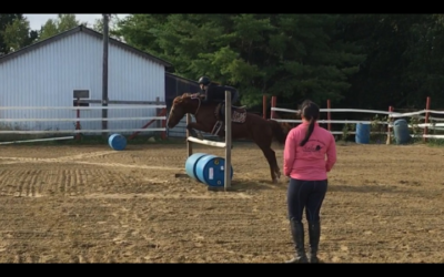 Get the Most Out of Your Horse Lessons