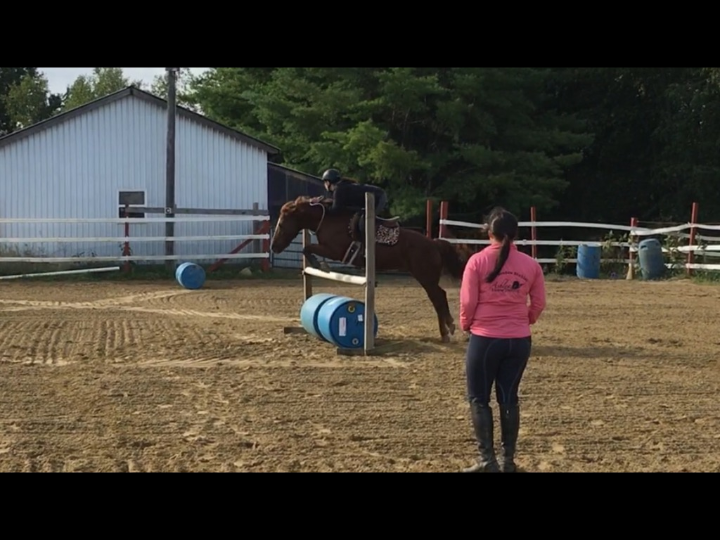Get the Most Out of Your Horse Lessons